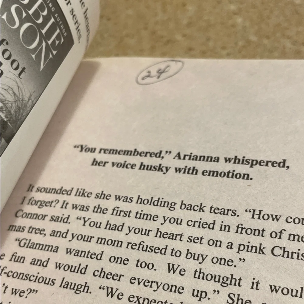 Set of Three Holiday Romance Novels